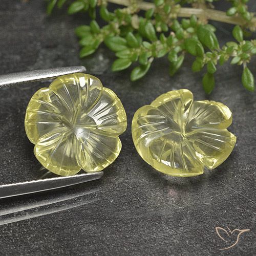 11.79ctw Natürlicher Blasses Cremegelb Quarz, Blumen-Schliff, Transparent