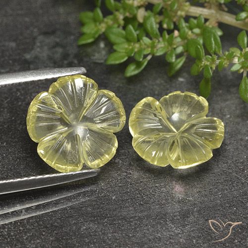 6.24ctw Natürlicher Zitronengelb Quarz, Blumen-Schliff, Transparent