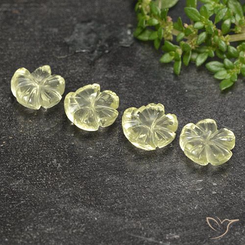 5.77ctw Natürlicher hellgrünlich-gelb Quarz, Blumen-Schliff, Transparent