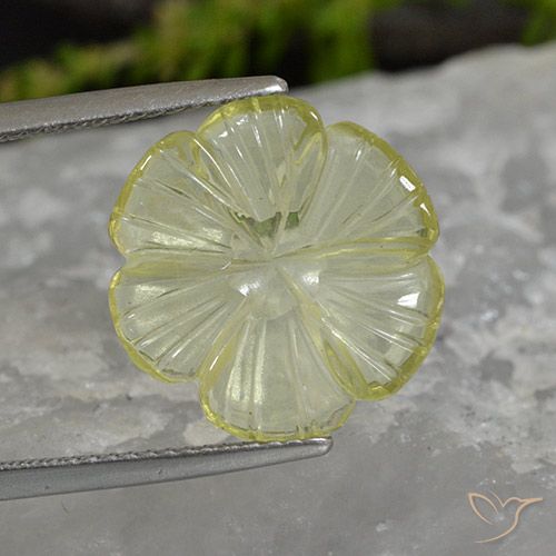 5.62ct Natürlicher Helles Ananasgelb Quarz, Blumen-Schliff, Transparent