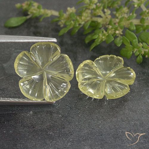 4.80ctw Natürlicher hellgelb Quarz, Blumen-Schliff, Transparent