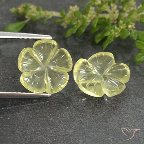 4.19ctw Natürlicher hellgelb Quarz, Blumen-Schliff, Transparent
