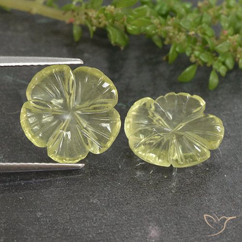 6.37ctw Natürlicher hellgelb Quarz, Blumen-Schliff, Transparent
