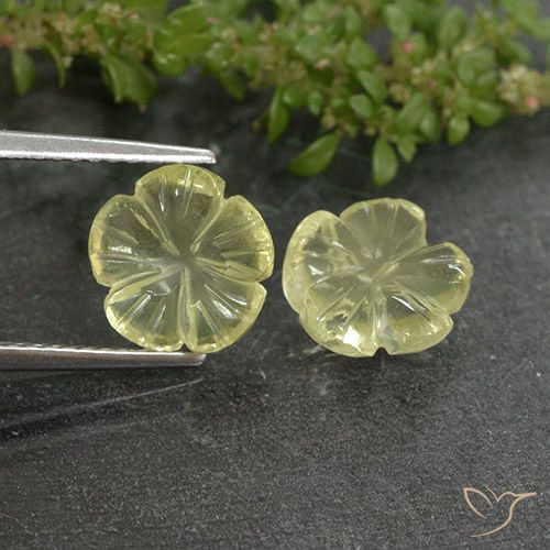 3.62ctw Natürlicher hellgelb Quarz, Blumen-Schliff, Transparent