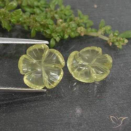 6.36ctw Natürlicher hellgelb Quarz, Blumen-Schliff, Transparent