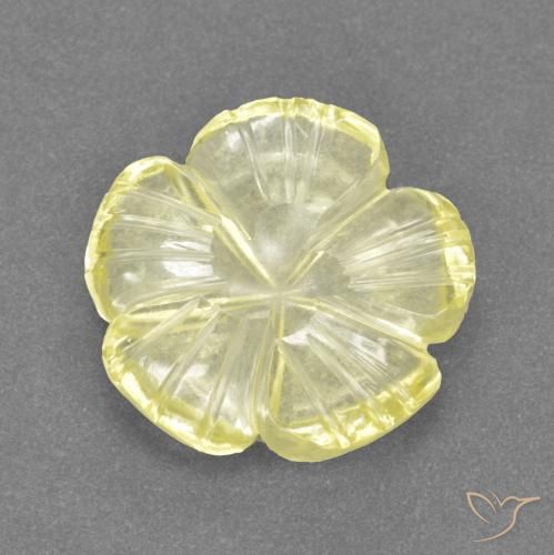 3.51ct Natürlicher Laguna Gelb Quarz, Blumen-Schliff, Transparent