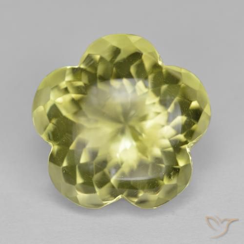 11.33ct Natürlicher Mittelgelb Quarz, Blumen-Schliff, Transparent