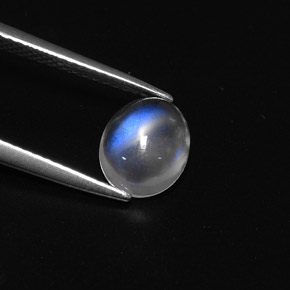 1,57 ctw natürlicher weißer Regenbogen-Mondstein, Oval Schliff, Transparent
