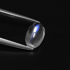 1,50 ctw natürlicher weißer Regenbogen-Mondstein, Oval Schliff, Transparent