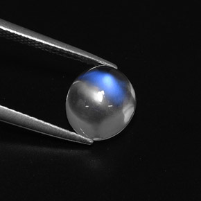 2,42 ctw natürlicher weißer Regenbogen-Mondstein, Oval Schliff, Transparent