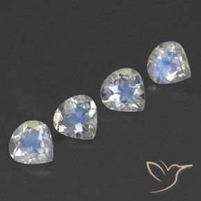 1.54 ct natürliche Bläulich-weiß Regenbogenmondstein-Edelsteine, Birnenform, Transparent