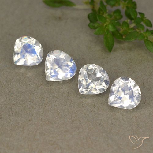 1,61 ct natürliche weißer Regenbogen-Mondstein-Edelsteine, Birnenform, Transparent