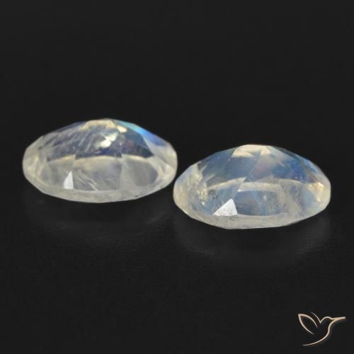 1.56 ct natürliche Bläulich-weiß Regenbogenmondstein-Edelsteine, Oval, Transparent