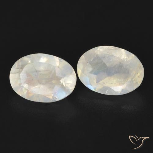 1.55 ct natürliche Bläulich-weiß Regenbogenmondstein-Edelsteine, Oval, Transparent