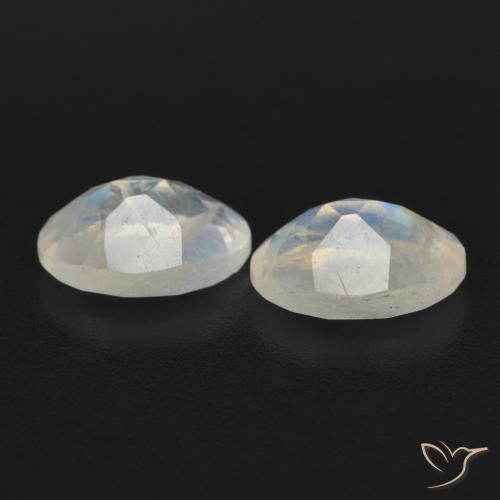 1.55 ct natürliche Bläulich-weiß Regenbogenmondstein-Edelsteine, Oval, Transparent