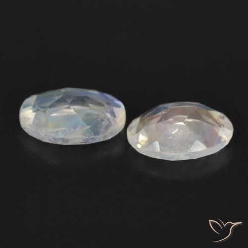 1.41 ct natürliche Bläulich-weiß Regenbogenmondstein-Edelsteine, Oval, Transparent