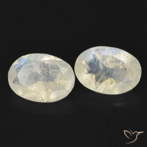 1.29 ct natürliche Bläulich-weiß Regenbogenmondstein-Edelsteine, Oval, Transparent