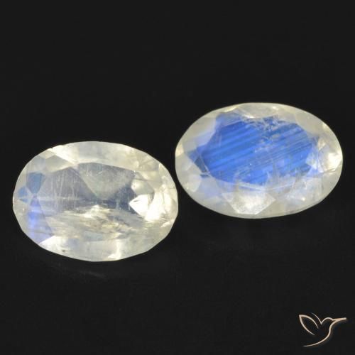 1.24 ct natürliche Bläulich-weiß Regenbogenmondstein-Edelsteine, Oval, Transparent