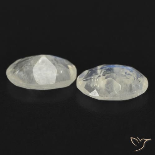 1.24 ct natürliche Bläulich-weiß Regenbogenmondstein-Edelsteine, Oval, Transparent