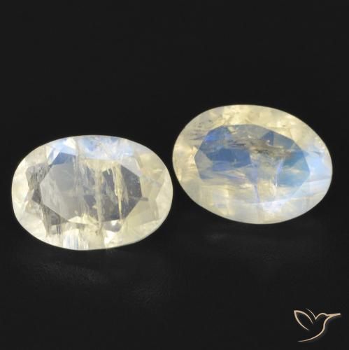 1.52 ct natürliche Bläulich-weiß Regenbogenmondstein-Edelsteine, Oval, Transparent