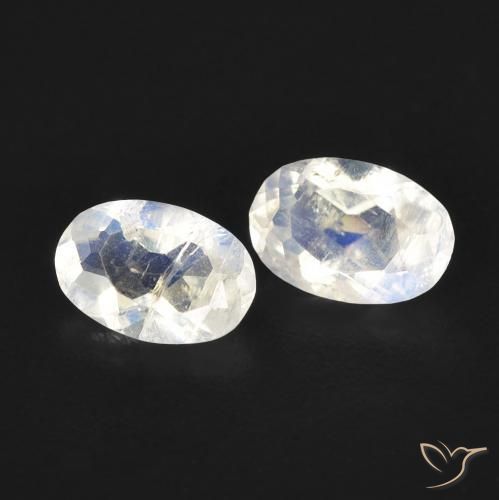 0.84 ct natürliche Bläulich-weiß Regenbogenmondstein-Edelsteine, Oval, Transparent