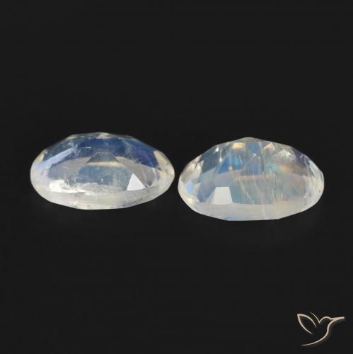 0.83 ct natürliche Bläulich-weiß Regenbogenmondstein-Edelsteine, Oval, Transparent
