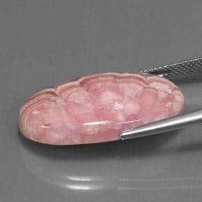 22,52 ctw natürlicher mehrfarbiger Rhodochrosit, Oval Schliff, Lichtundurchlässig