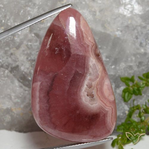 65.86ct Natürlicher Mehrfarbig Rhodochrosit, Trillion, Lichtdurchlässig