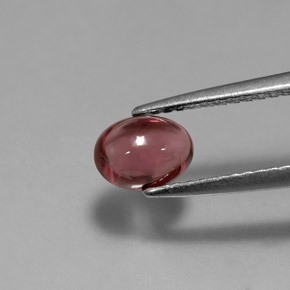 9,17 ctw natürlicher Rot Rhodolith, Transparent, Transparent / Lichtdurchlässig