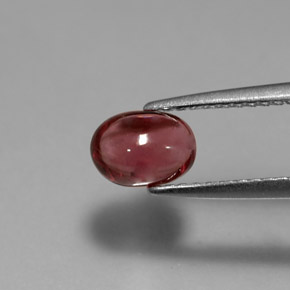 1,18 ctw natürlicher roter Rhodolith, Transparent, Transparent / Lichtdurchlässig