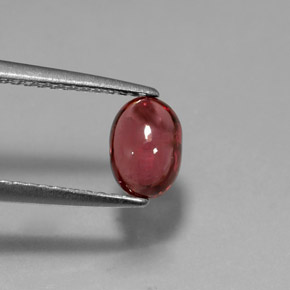 1,18 ctw natürlicher roter Rhodolith, Transparent, Transparent / Lichtdurchlässig