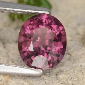 1,37 ctw natürlicher purpurfarbener Rhodolith, Oval Schliff, VS