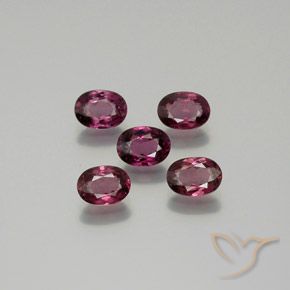5.27 ct natürliche tieflila Rhodolith-Granat-Edelsteine, Oval, VS