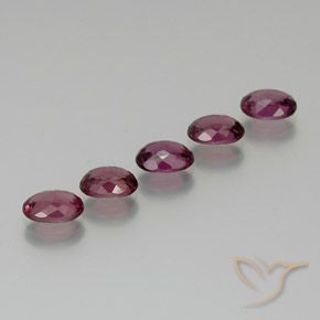 5.27 ct natürliche tieflila Rhodolith-Granat-Edelsteine, Oval, VS