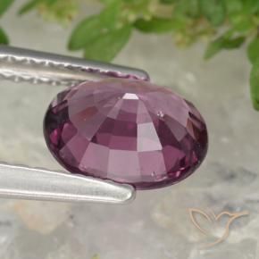 1,38 ctw natürlicher purpurfarbener Rhodolith, Oval Schliff, VS