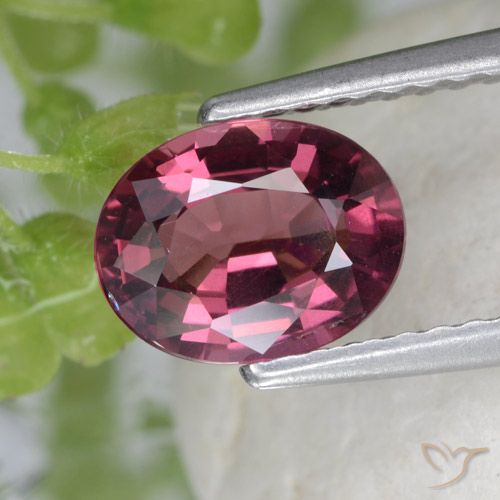 1.53ct Natürlicher Mittelviolett Rhodolith-Granat, Oval, VS