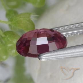 9,17 ctw natürlicher Mittelviolett Rhodolith-Granat, Oval, VS