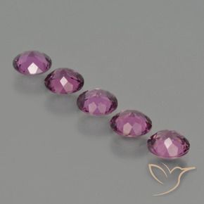 2.69 ct natürliche Mittel-Dunkelviolett Rhodolith-Granat-Edelsteine, Runden, VS