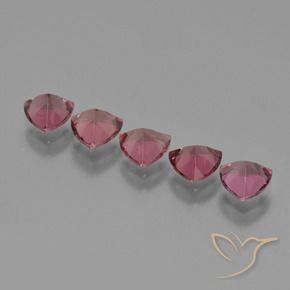 2.62 ct natürliche Rosa Beere Lila Rhodolith-Granat-Edelsteine, Trillion, VS