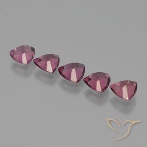 2.58 ct natürliche Rosa Beere Lila Rhodolith-Granat-Edelsteine, Trillion, VS