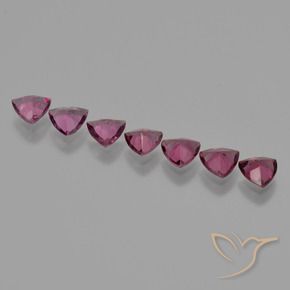 2.76 ct natürliche Mittelviolett Rhodolith-Granat-Edelsteine, Trillion, VS
