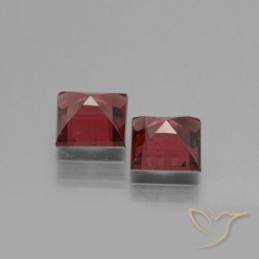 1.61 ct natürliche Tiefes Weinrot Rhodolith-Granat-Edelsteine, Quadrat, VS