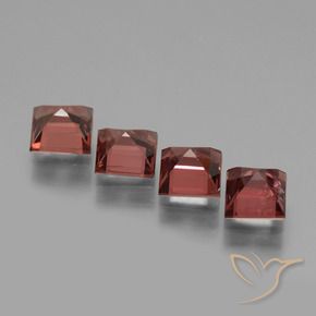 3.18 ct natürliche Merlot Rot Rhodolith-Granat-Edelsteine, Quadrat, VS