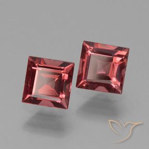 1.62 ct natürliche tiefrot Rhodolith-Granat-Edelsteine, Quadrat, VS