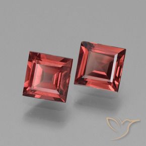 1.52 ct natürliche tiefrot Rhodolith-Granat-Edelsteine, Quadrat, VS