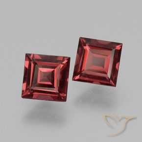 1.56 ct natürliche dunkelrot Rhodolith-Granat-Edelsteine, Quadrat, VS