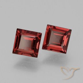 1.43 ct natürliche tiefrot Rhodolith-Granat-Edelsteine, Quadrat, VS