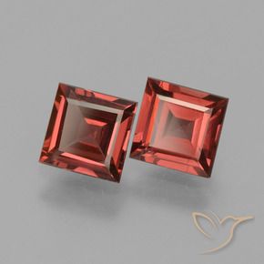 1.46 ct natürliche Tiefes Scharlachrot Rhodolith-Granat-Edelsteine, Quadrat, VS