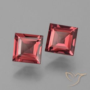 1.57 ct natürliche Purpurrot Rhodolith-Granat-Edelsteine, Quadrat, VS
