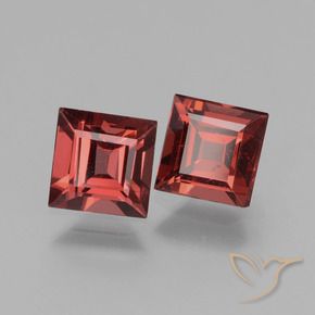1.55 ct natürliche tiefrot Rhodolith-Granat-Edelsteine, Quadrat, VS